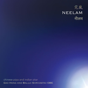 Gao Hong: Neelam: Chinese Pipa & Indian Sitar