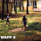 WAFP 8