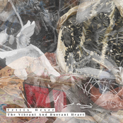 The Vibrant And Buoyant Heart