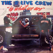 2 Live Crew: Is What We Are