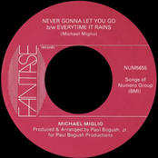 Never Gonna Let You Go b/w Everytime It Rains - Single