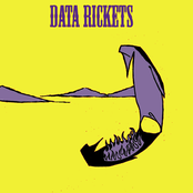 Data Rickets