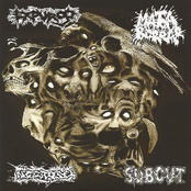 Split 7 Ep Mata Borrão, Expurgo, Necrose, Subcut