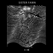 Sister Fawn