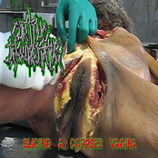 Slicing a Corpses Vagina