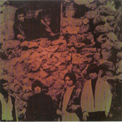 Black Beauty & Rarities