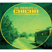 roots of chicha