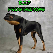 Frogthedawg