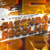 Fazendo o Recolhe (feat. Dj TC)