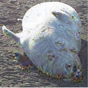 Finngálkn demo 2010