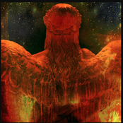 Embracing Darkness, Absorbing Light