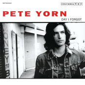 Pete Yorn: Day I Forgot