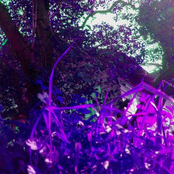 Timeless Phase (Promo)