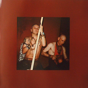 genesis p-orridge & z' ev