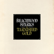 The Tarnished Gold Album Picture