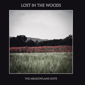 Lost In The Woods: The Meadowland Suite