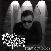 big bill & the cool tones