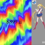 8899 ii