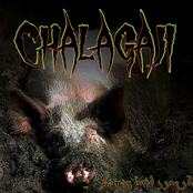 რაღაც ხომ კეთდება?!