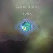 The Search