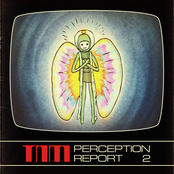 Perception Report 2