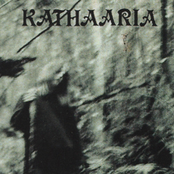 A Tragic Journey Towards The Light