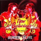 Buried Alive Live in Maryland