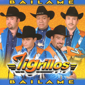 Los Tigrillos: Báilame