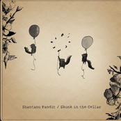 Skunk in the Cellar - EP