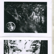 laskovoe echo / paragon belial