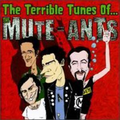 The Mute-ants