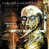 A Cage Went In Search Of A Bird...Music Inspired By Franz Kafka