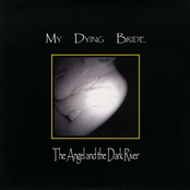 Your Shameful Heaven by My Dying Bride