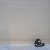 The Cat That Got The Dream