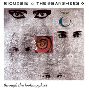 Gun by Siouxsie And The Banshees