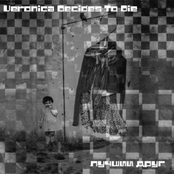 Лучший Друг