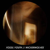Fossil Youth / / Wickerwolves Split 2014