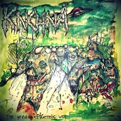 The Great ePIGemic War