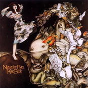 All We Ever Look For by Kate Bush