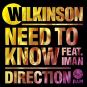 wilkinson feat. iman