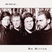 Healing Waters by Mr. Mister