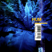 Hum: Downward Is Heavenward