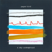 Paper Bird: A Sky Underground