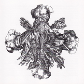 Flayed/Crux