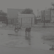 After Its Own Dead / Walking In A Spiral Towards The House