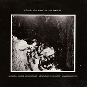 Could You Walk on the Waters