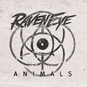 RavenEye: Animals