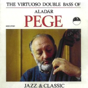 The Virtuoso Double Bass