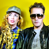 the ting tings