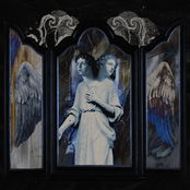 Cellar Dwellar: In the Shape of a Swan